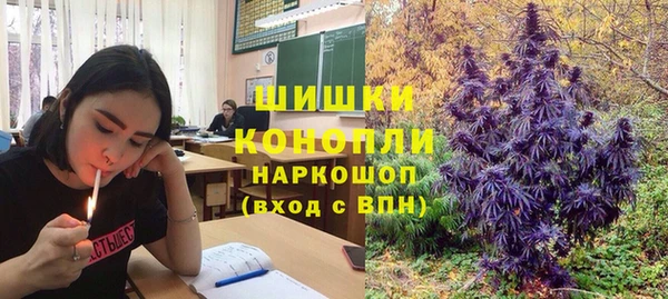Альфа ПВП Медвежьегорск