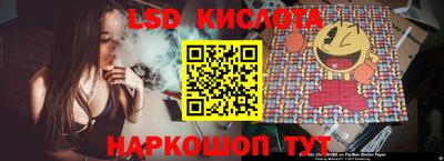 стаф Дубна