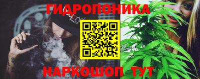 стаф Дубна