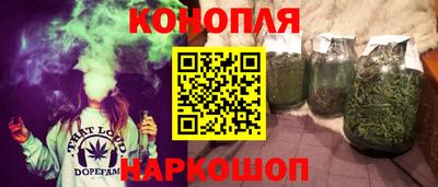стаф Дубна