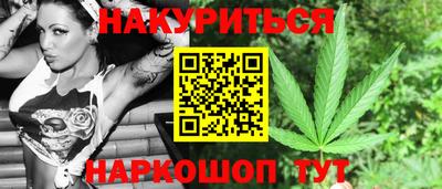 стаф Дубна