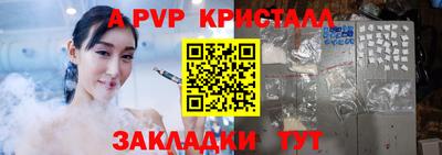 стаф Дубна