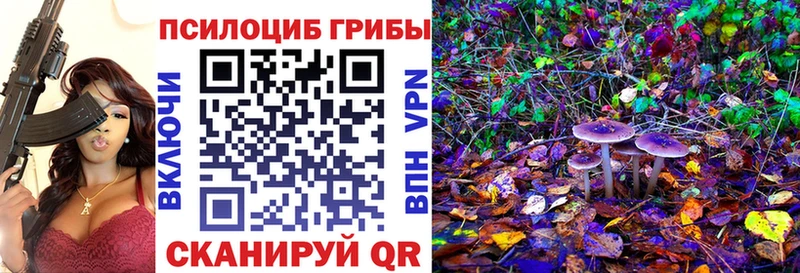Галлюциногенные грибы мицелий  Кореновск 