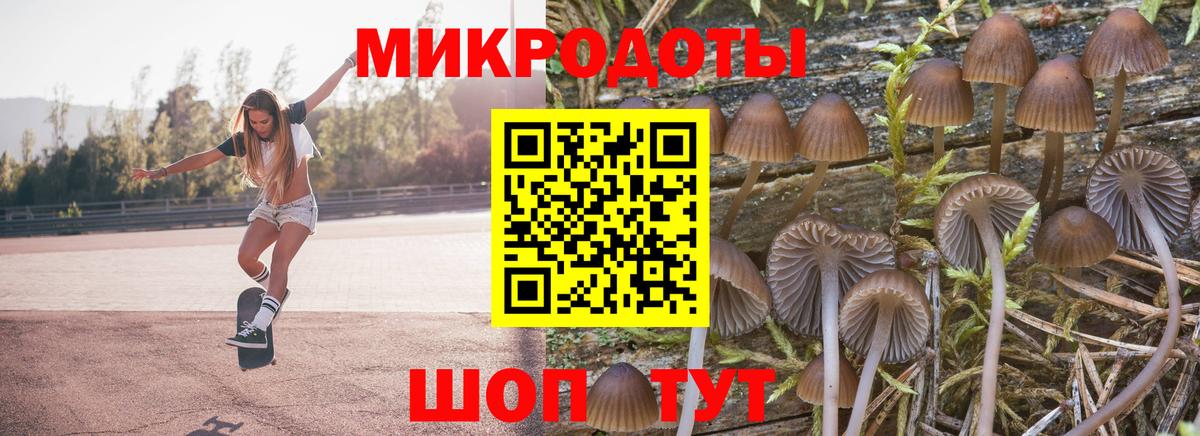 Псилоцибиновые грибы Psilocybe  Вход с VPN  дарнет шоп  Кореновск 